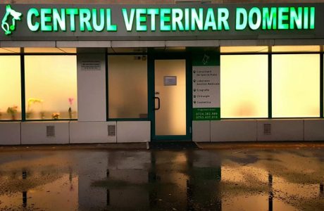 Intrare Centru Veterinar Domenii , la Bulevardul Ion Mihalache , langa Piata Domenii