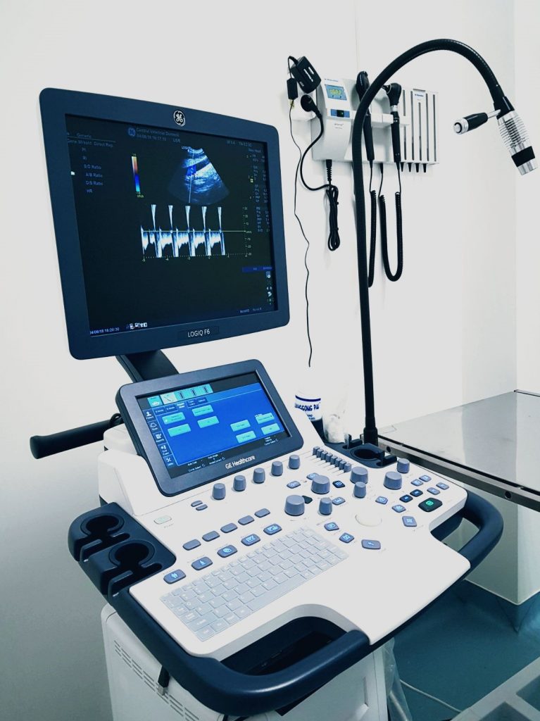 Ecograf-Centrul-Veterinar-Domenii-Bucuresti-e1539216753228